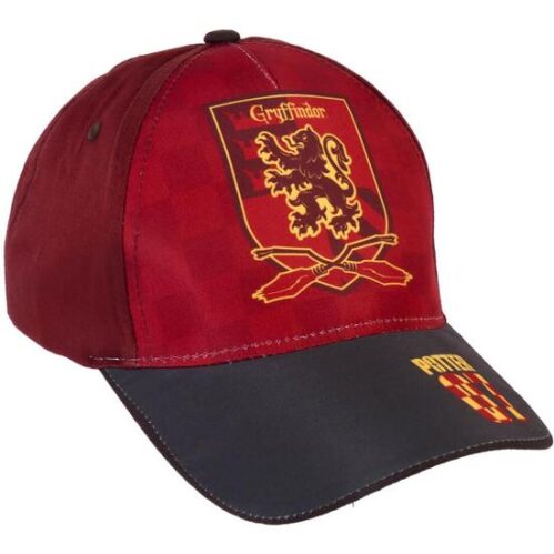 Gorra Harry Potter Gray - Imagen 5