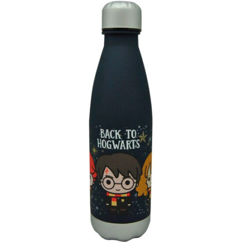 Botella Back To Hogwarts Harry Potter 650Ml